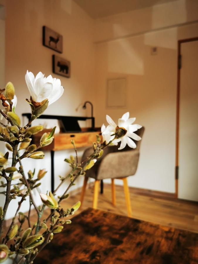 Apartamento Haselnuss Ilsenburg Exterior foto